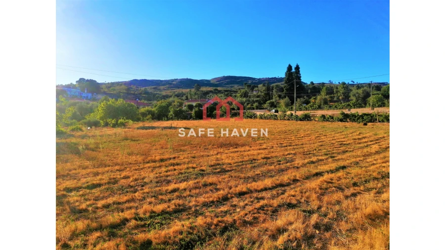 Terreno Agricola ou Rústico para Venda em Abrunhosa-A-Velha Foto 4