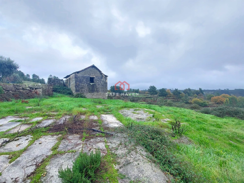 Quinta T0 para Venda em Santiago de Cassurrães e Póvoa de Cervães Foto 4