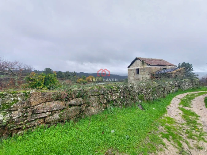Quinta T0 para Venda em Santiago de Cassurrães e Póvoa de Cervães Foto 6