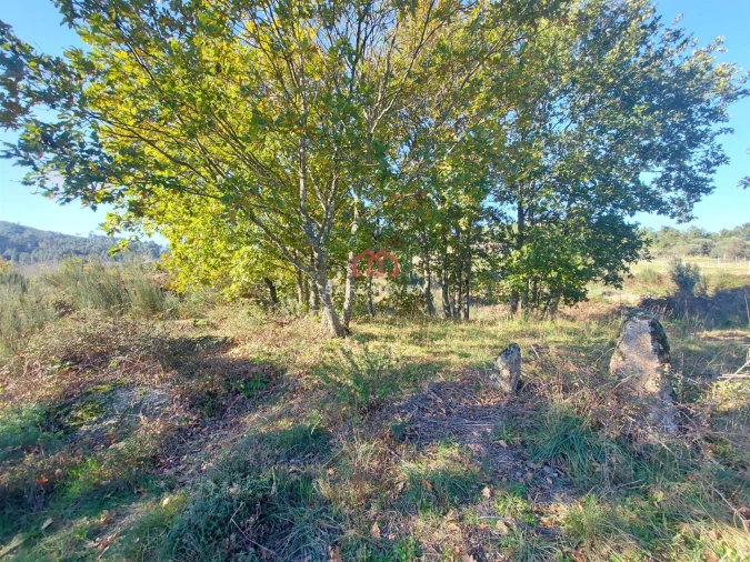 Quinta T0 para Venda em Santiago de Cassurrães e Póvoa de Cervães Foto 3