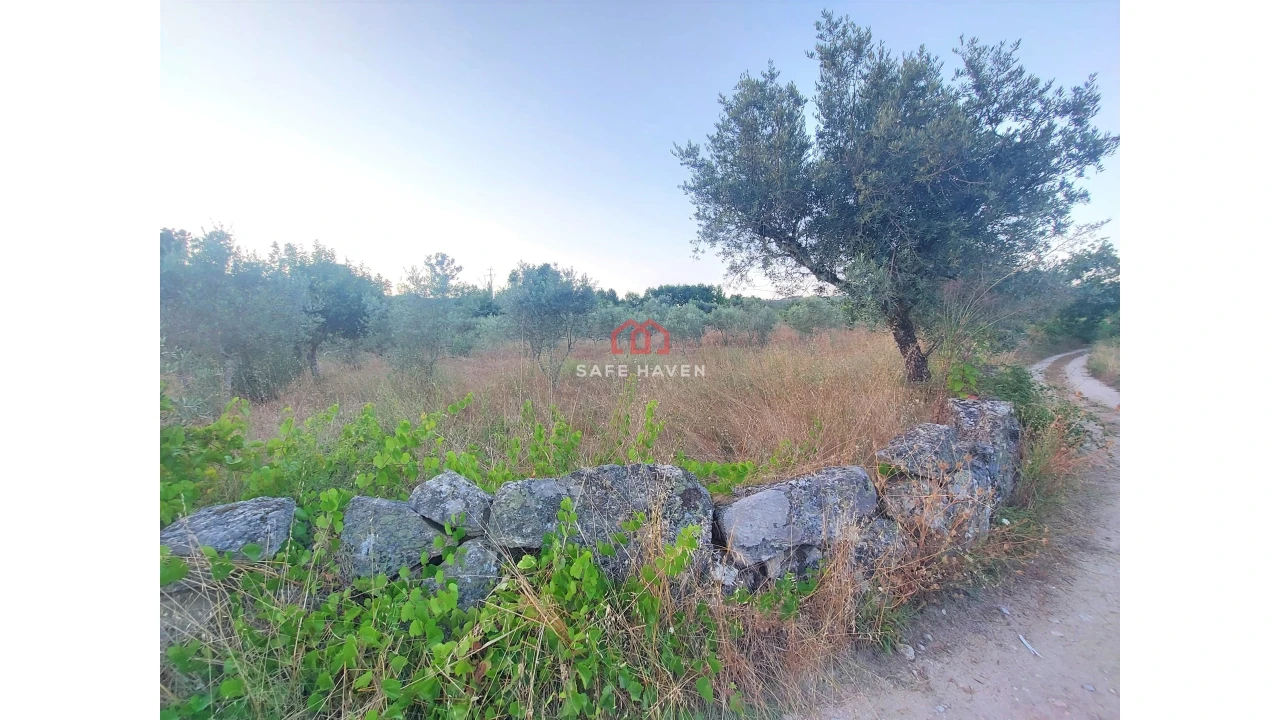 Terreno Agricola ou Rústico para Venda em Santiago de Cassurrães e Póvoa de Cervães Foto 1