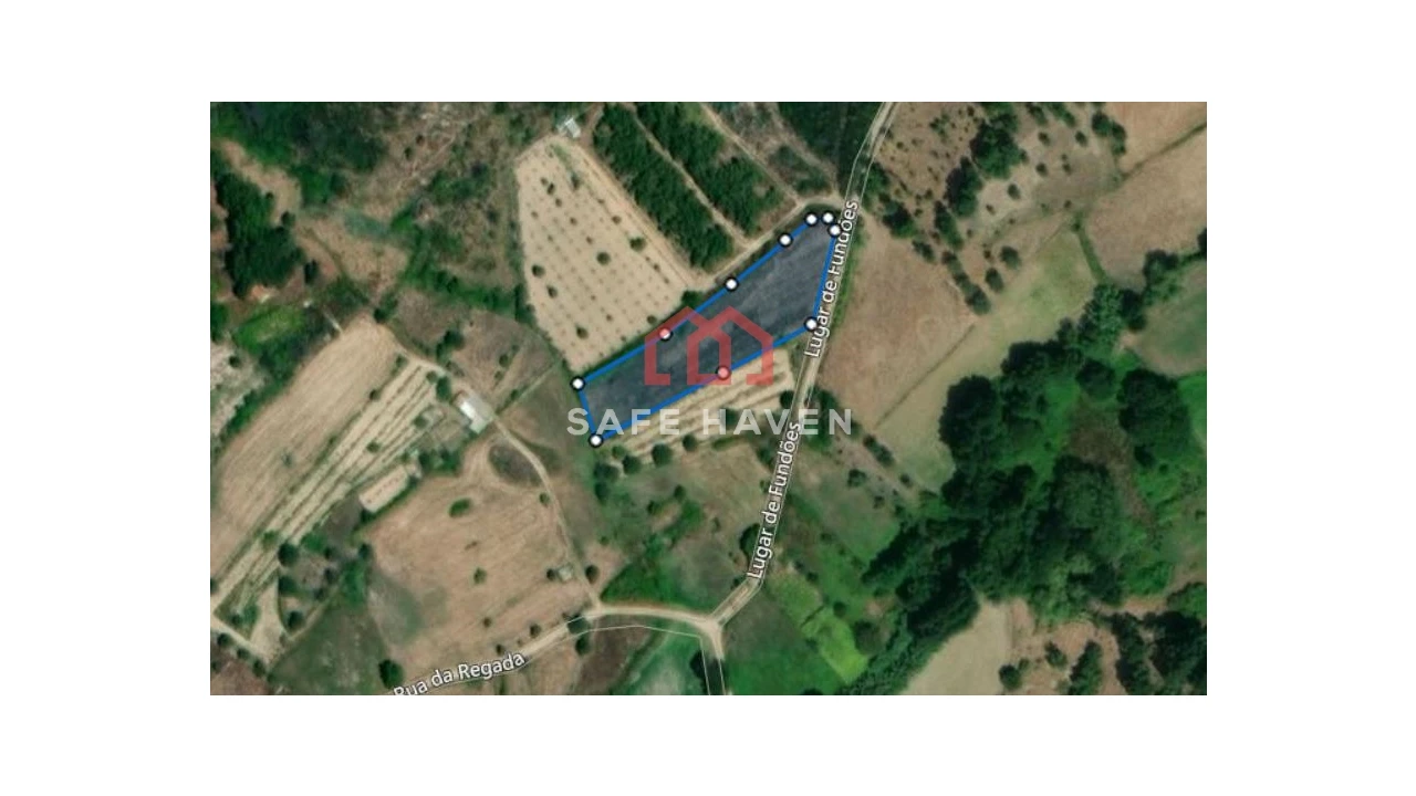 Terreno Agricola ou Rústico para Venda em Santiago de Cassurrães e Póvoa de Cervães Foto 5