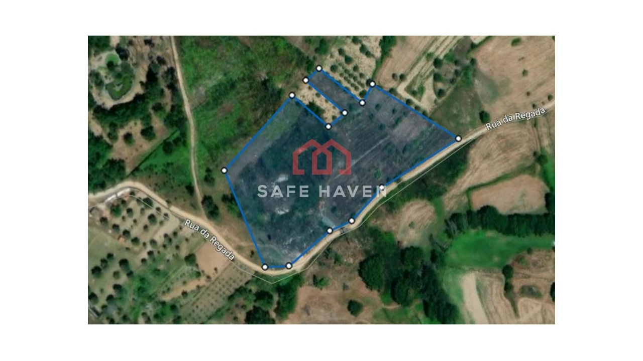 Terreno Agricola ou Rústico para Venda em Santiago de Cassurrães e Póvoa de Cervães Foto 3