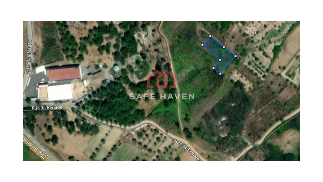 Terreno Agricola ou Rústico para Venda em Santiago de Cassurrães e Póvoa de Cervães Foto 4