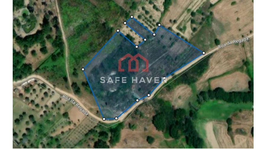 Terreno Agricola ou Rústico para Venda em Santiago de Cassurrães e Póvoa de Cervães Foto 3