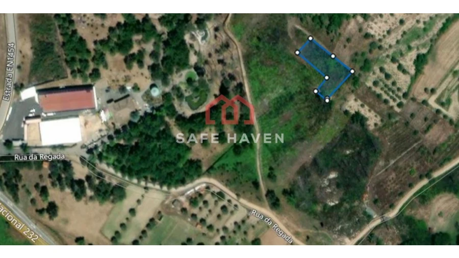 Terreno Agricola ou Rústico para Venda em Santiago de Cassurrães e Póvoa de Cervães Foto 4