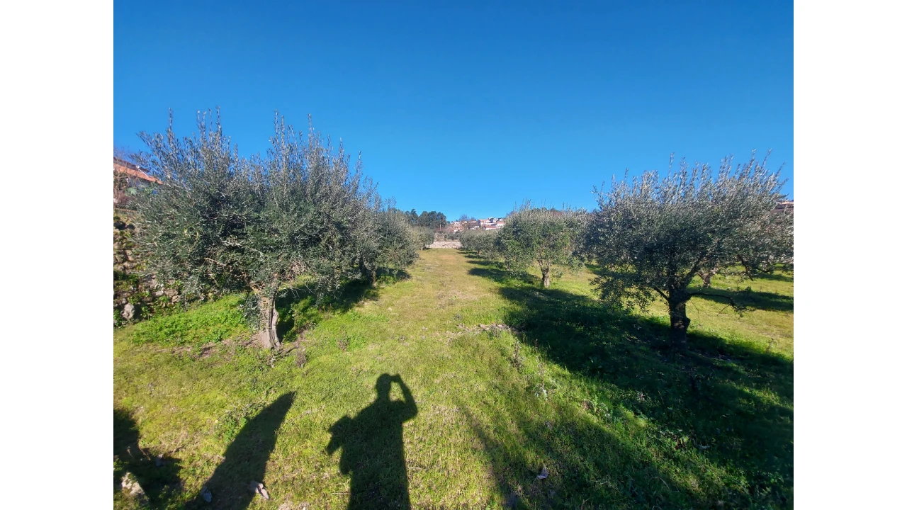 Moradia T3 para Venda em Rio de Moinhos Foto 19