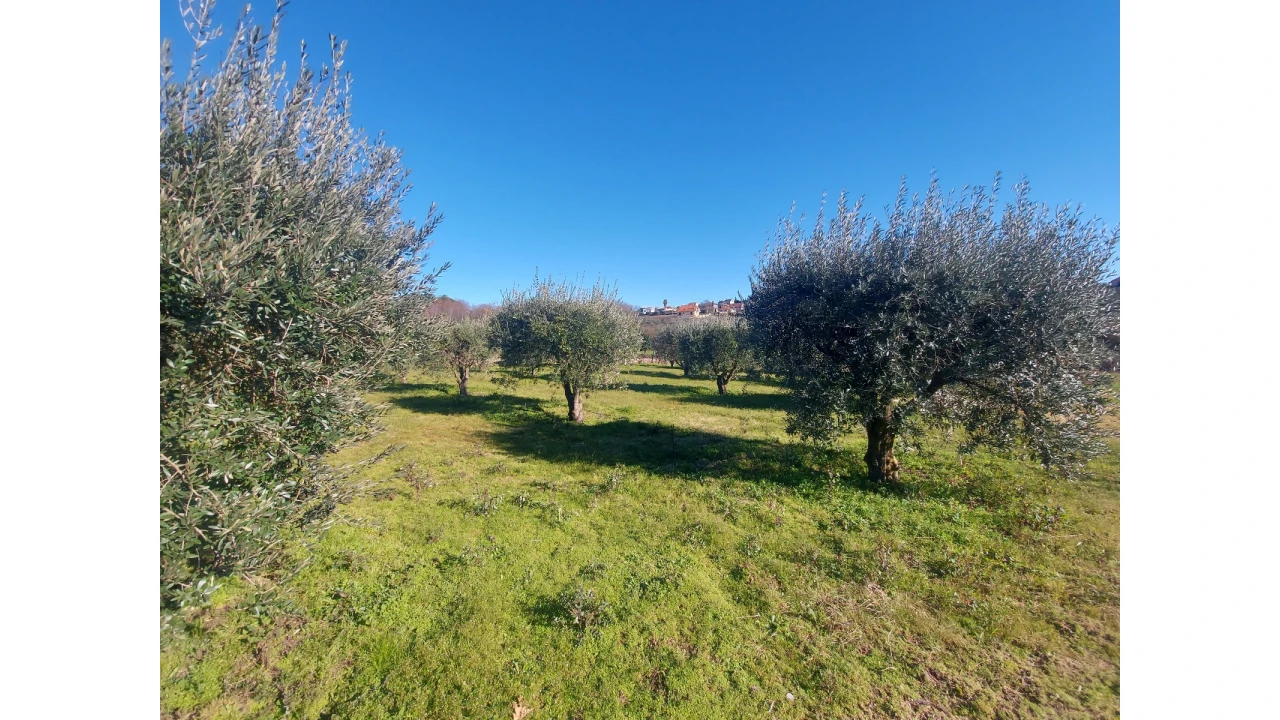 Moradia T3 para Venda em Rio de Moinhos Foto 20