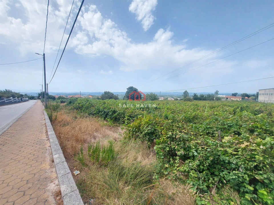 Terreno para Venda em Mangualde, Mesquitela e Cunha Alta Foto 8