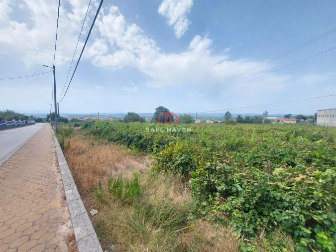 Terreno para Venda em Mangualde, Mesquitela e Cunha Alta Foto 8