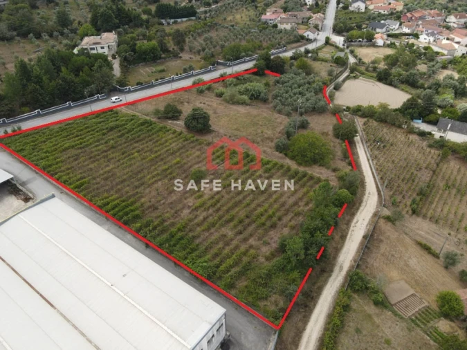Terreno para Venda em Mangualde, Mesquitela e Cunha Alta Foto 3