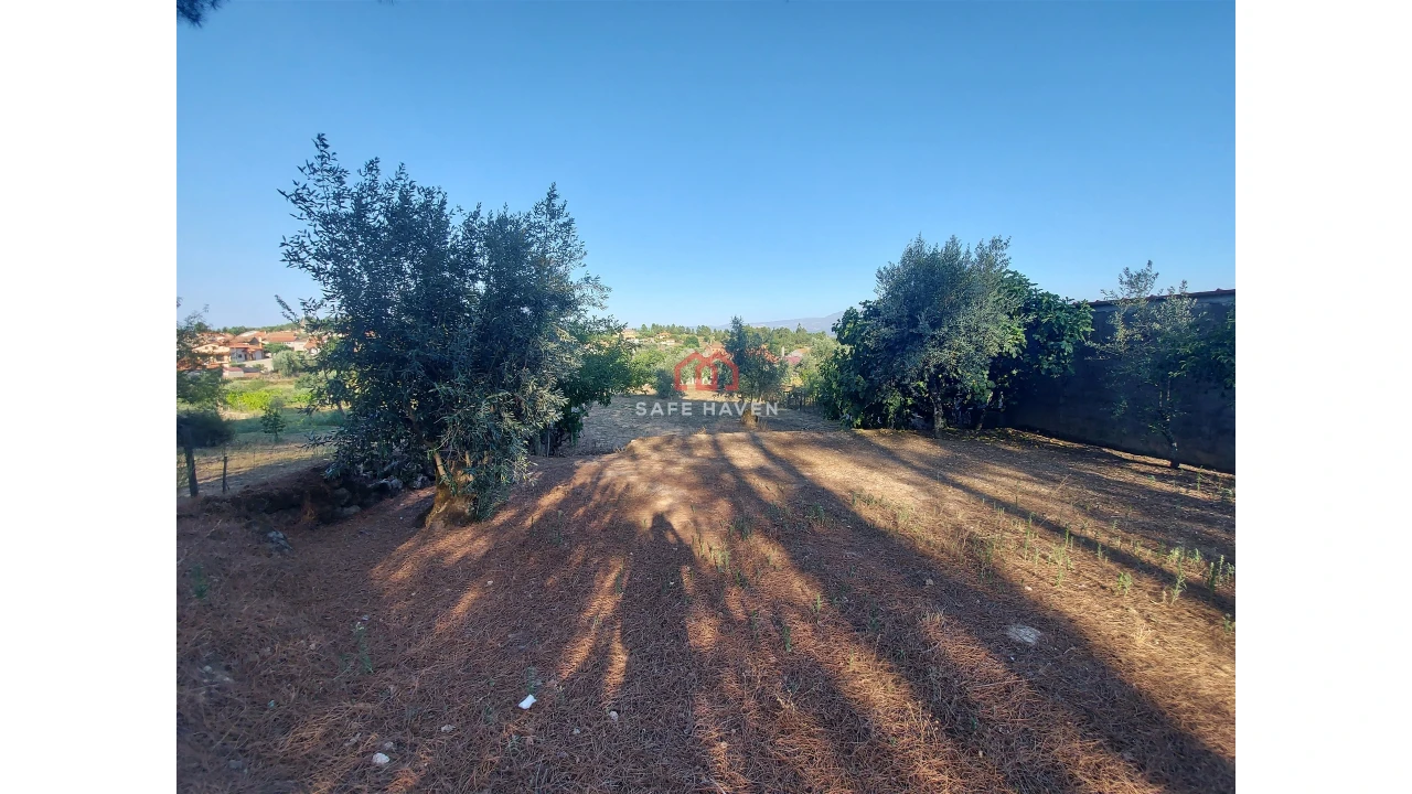Terreno Agricola ou Rústico para Venda em Santiago de Cassurrães e Póvoa de Cervães Foto 4
