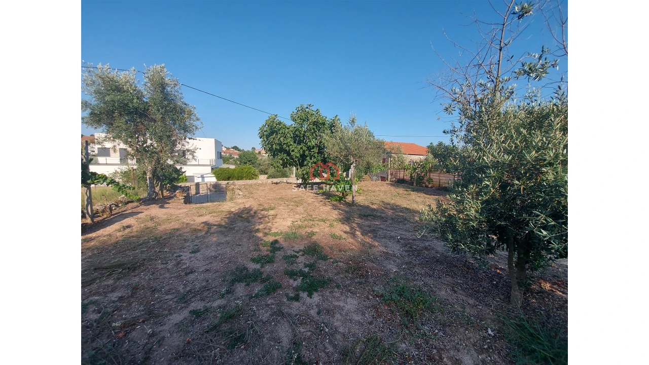 Terreno Agricola ou Rústico para Venda em Santiago de Cassurrães e Póvoa de Cervães Foto 3