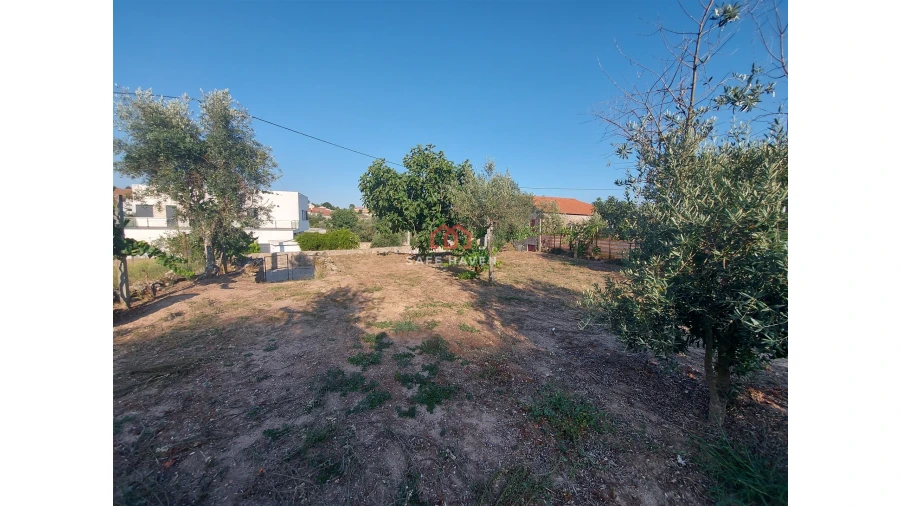 Terreno Agricola ou Rústico para Venda em Santiago de Cassurrães e Póvoa de Cervães Foto 3