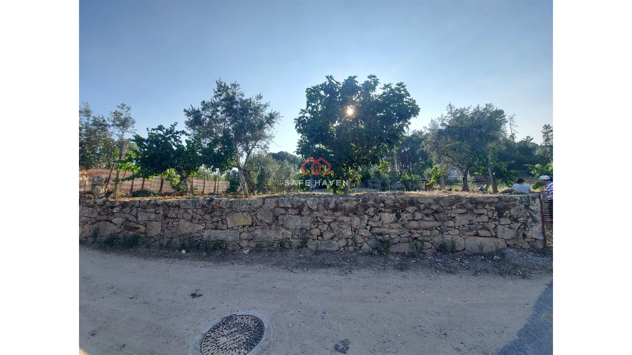 Terreno Agricola ou Rústico para Venda em Santiago de Cassurrães e Póvoa de Cervães Foto 1