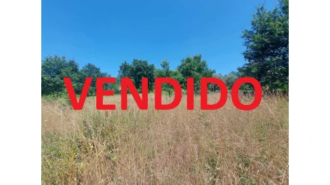 Terreno para Venda em Mangualde, Mesquitela e Cunha Alta