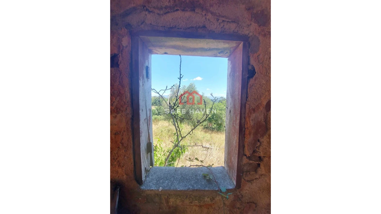 Quinta T0 para Venda em Mangualde, Mesquitela e Cunha Alta Foto 11