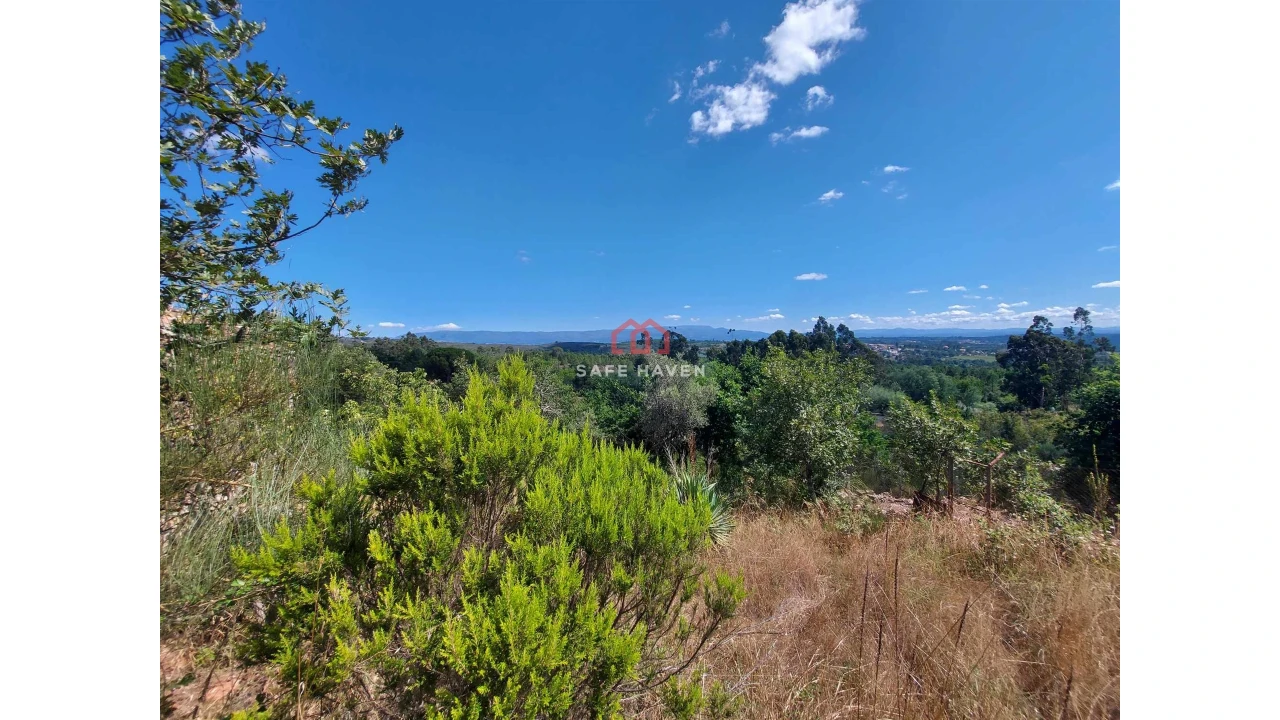 Quinta T0 para Venda em Mangualde, Mesquitela e Cunha Alta Foto 12