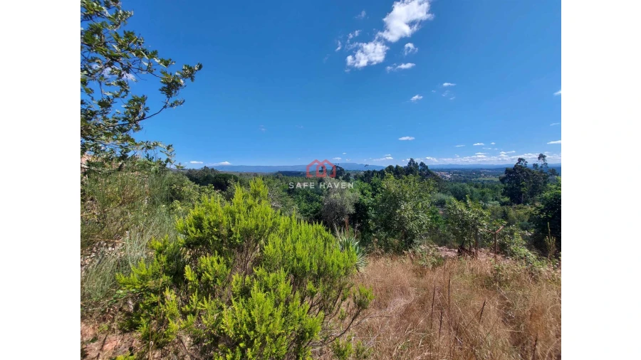 Quinta T0 para Venda em Mangualde, Mesquitela e Cunha Alta Foto 12