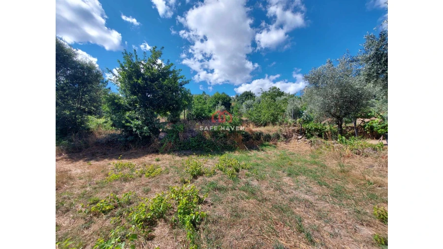 Quinta T0 para Venda em Mangualde, Mesquitela e Cunha Alta Foto 3