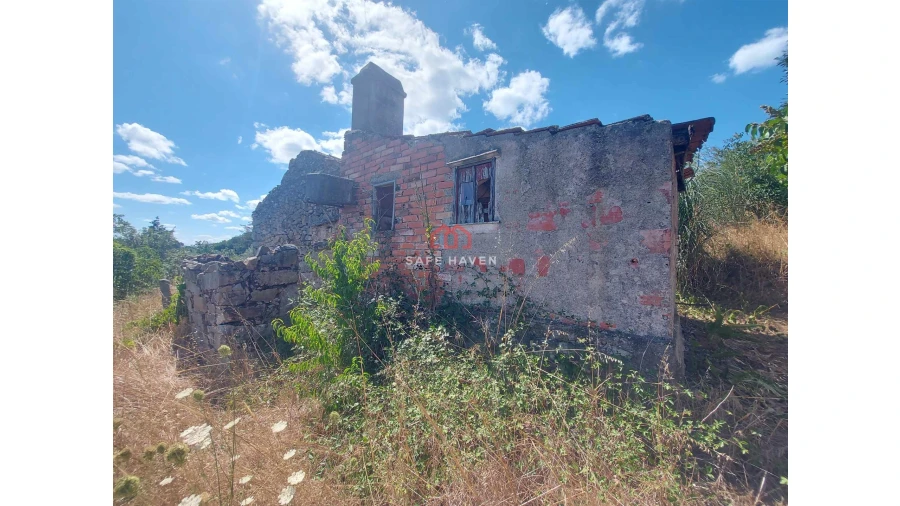 Quinta T0 para Venda em Mangualde, Mesquitela e Cunha Alta Foto 4