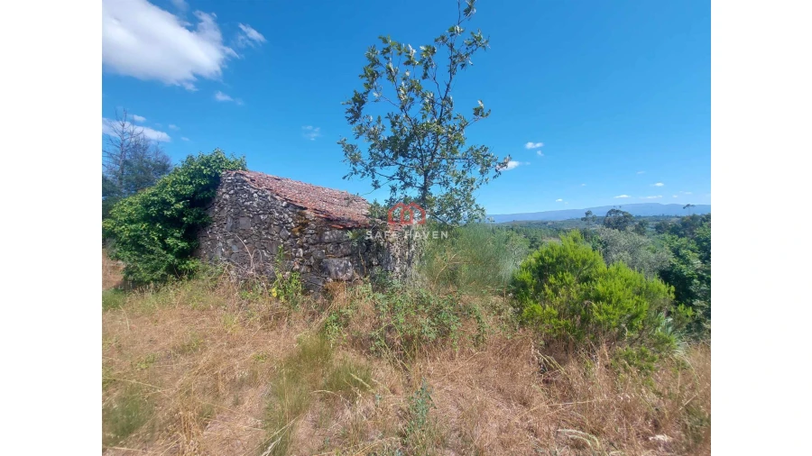 Quinta T0 para Venda em Mangualde, Mesquitela e Cunha Alta Foto 2