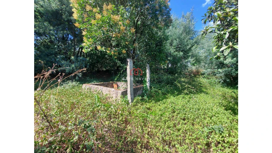 Quinta T0 para Venda em Mangualde, Mesquitela e Cunha Alta Foto 5