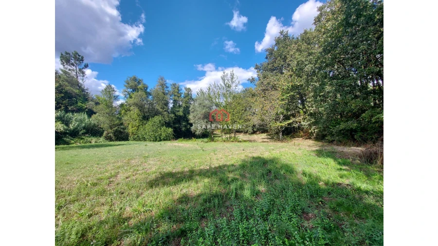 Terreno Agricola ou Rústico para Venda em Castelo de Penalva Foto 5