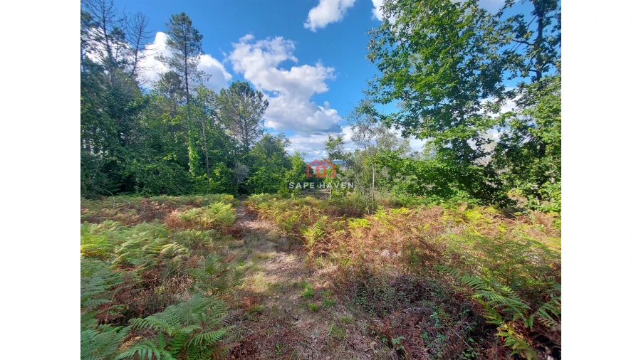 Terreno Agricola ou Rústico para Venda em Castelo de Penalva Foto 3