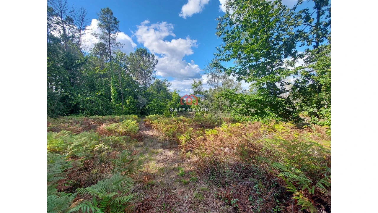 Terreno Agricola ou Rústico para Venda em Castelo de Penalva Foto 3