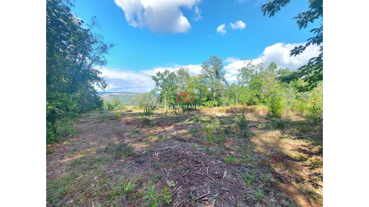 Terreno Agricola ou Rústico para Venda em Castelo de Penalva Foto 2