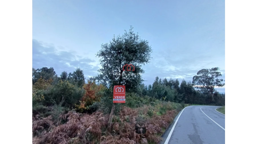 Terreno Agricola ou Rústico para Venda em Canas de Senhorim Foto 1