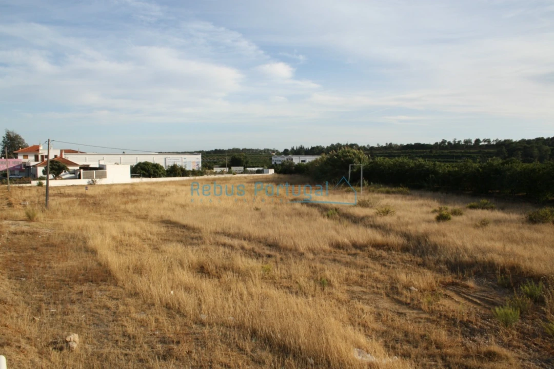Terreno Comércio / Armazém para Venda em Almancil Foto 3
