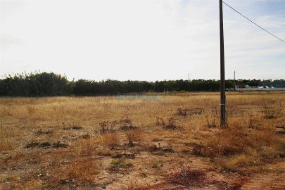 Terreno Comércio / Armazém para Venda em Almancil