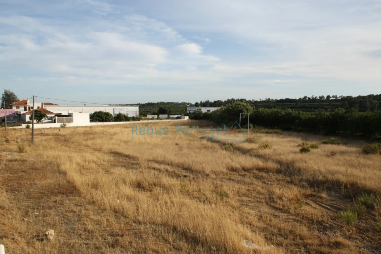 Terreno Comércio / Armazém para Venda em Almancil Foto 3