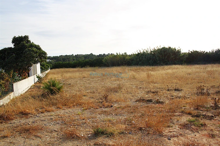 Terreno Comércio / Armazém para Venda em Almancil Foto 5