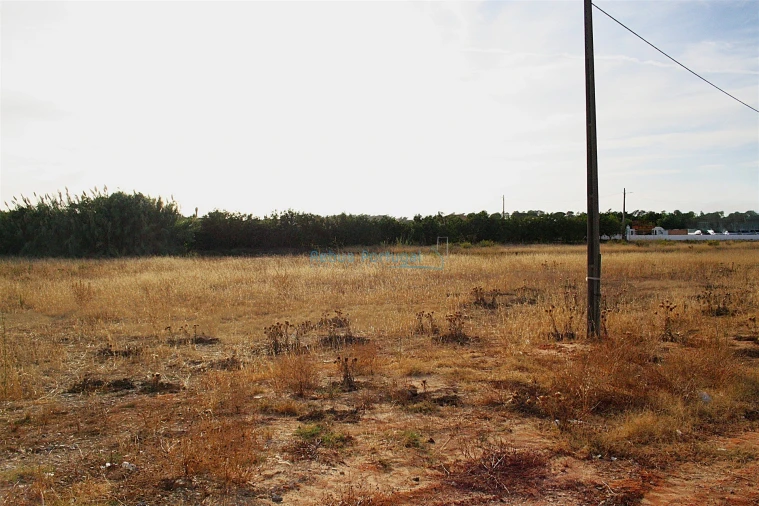 Terreno Comércio / Armazém para Venda em Almancil Foto 4