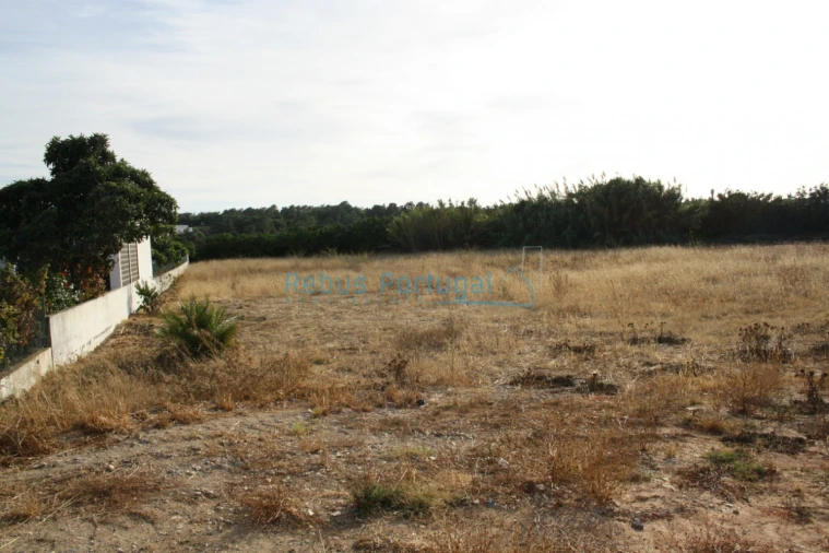 Terreno Comércio / Armazém para Venda em Almancil Foto 4