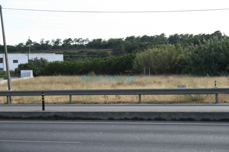 Terreno Comércio / Armazém para Venda em Almancil Foto 2