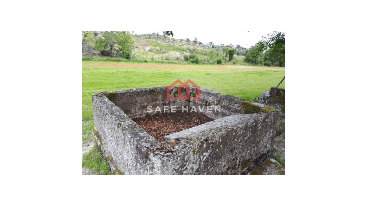 Quinta T0 para Venda em Abrunhosa-A-Velha Foto 4