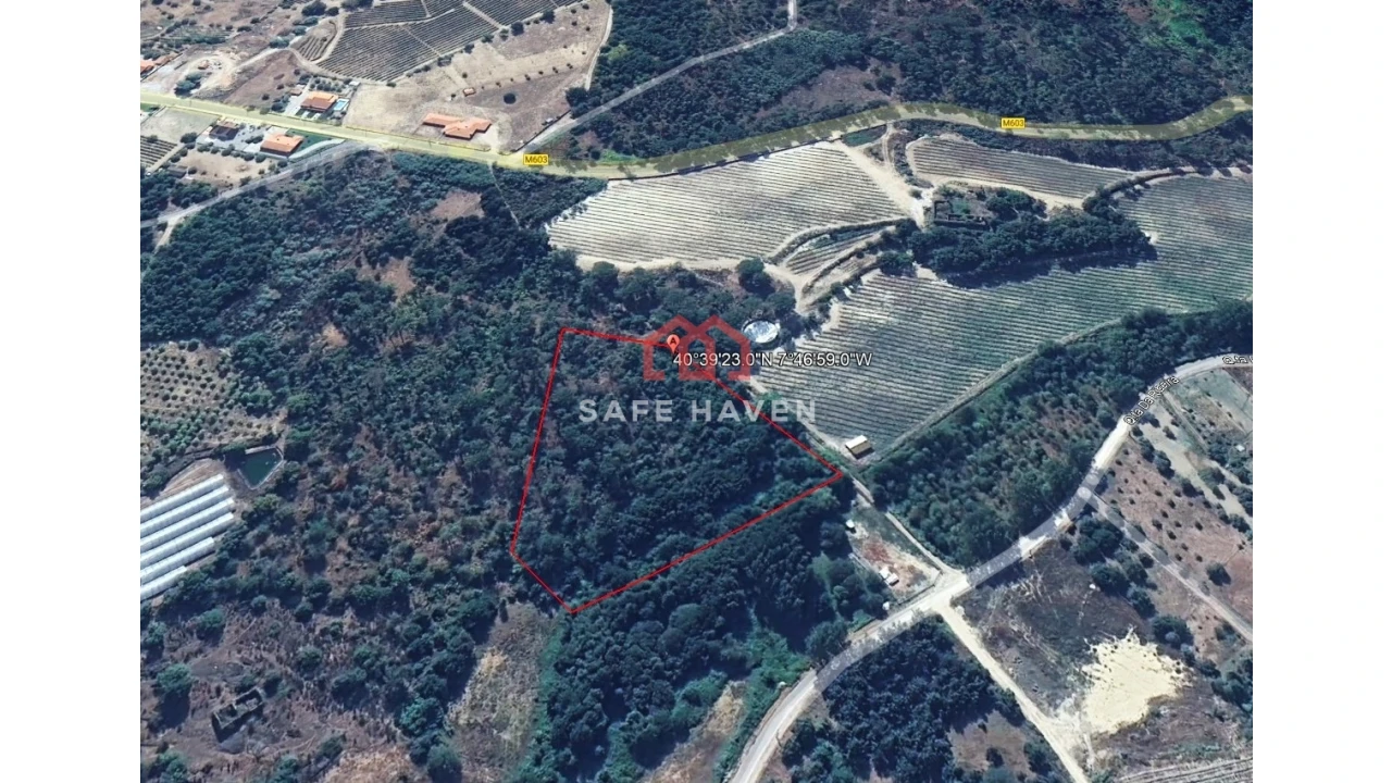 Terreno Agricola ou Rústico para Venda em Pindo Foto 1