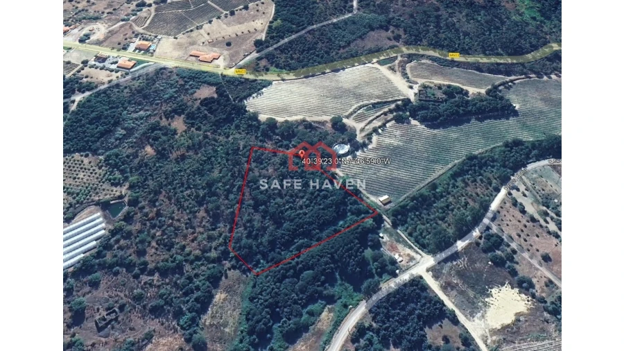 Terreno Agricola ou Rústico para Venda em Pindo