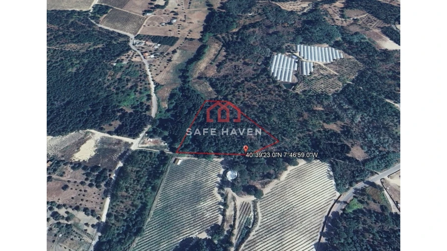 Terreno Agricola ou Rústico para Venda em Pindo Foto 3