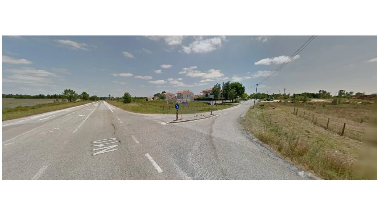 Terreno Comércio / Armazém para Venda em Pegões Foto 2