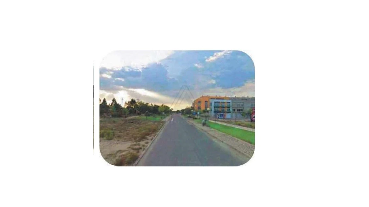 Terreno Comércio / Armazém para Venda em Pegões Foto 6