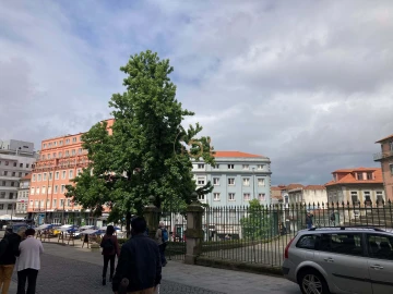 Apartamento para Venda em Cedofeita, Santo Ildefonso, Sé, Miragaia, São Nicolau e Vitória