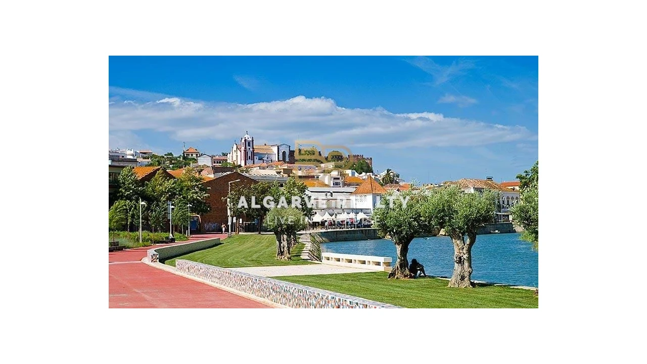 Terreno para Venda em São Silvestre Foto 9