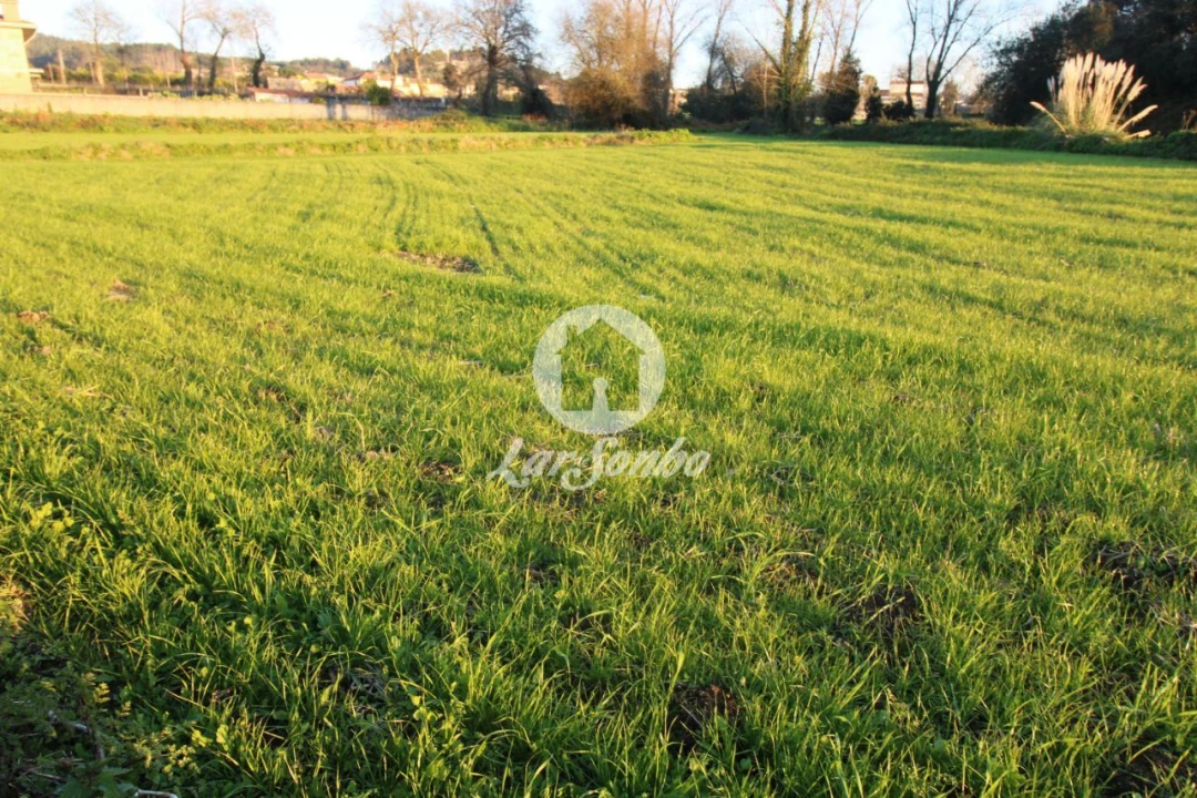 Terreno Agricola ou Rústico para Venda em Guilhabreu Foto 1