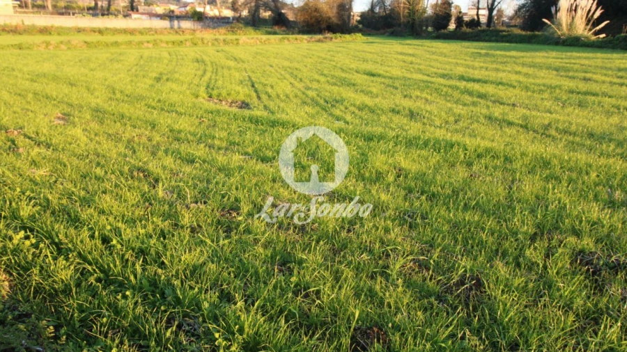 Terreno Agricola ou Rústico para Venda em Guilhabreu