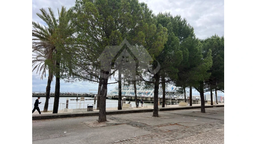 Loja para Venda em Parque das Nações Foto 3